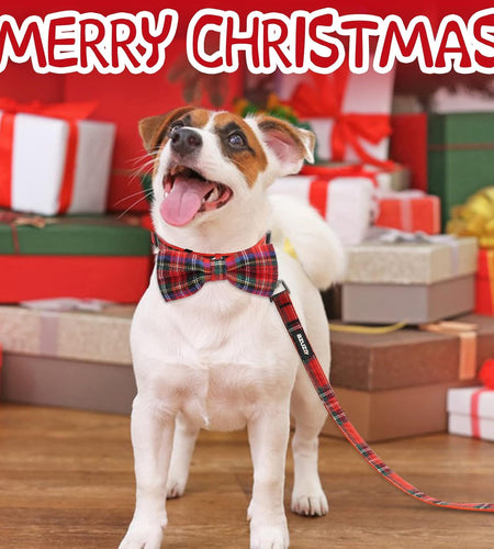 Christmas Dog Collar and Leash Set, Classic Plaid Collar with Removable Bowtie and Matching Leash for Small Medium and Large Dogs